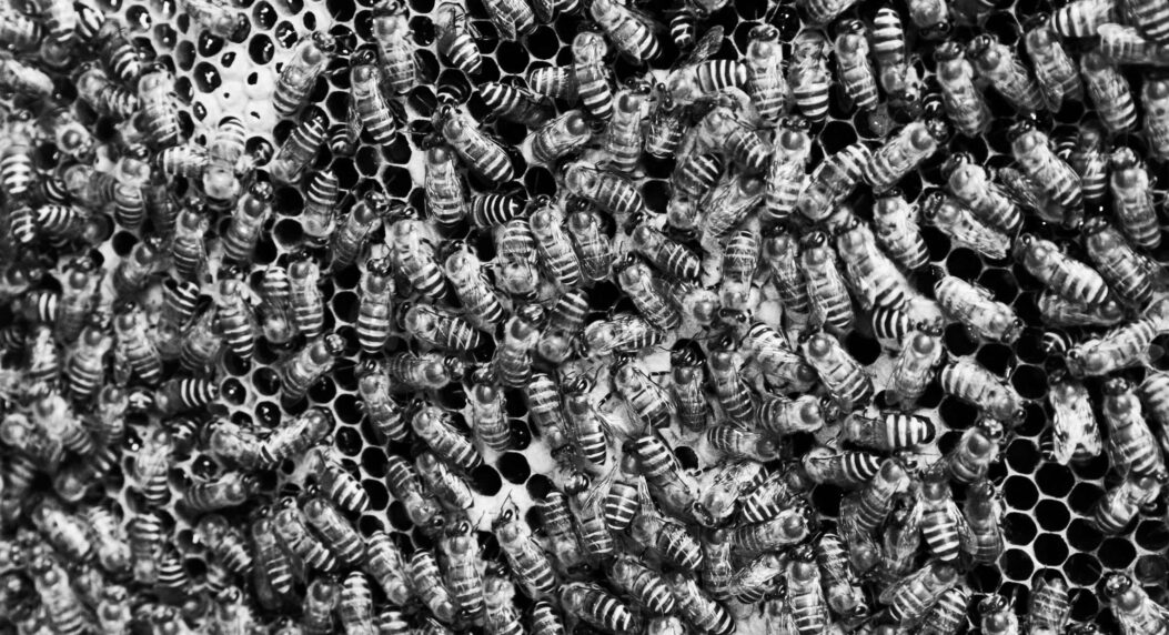 A Brief History of Accelerationism